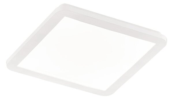 Plafoniera da Interno a LED in Plastica Bianco