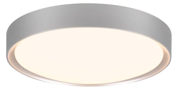 Plafoniera da Interno a LED in Plastica Titanio