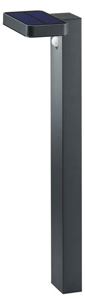 Palo da Esterno a led in Acciaio Acciaio