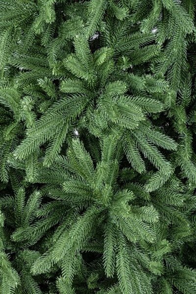 Albero di Natale Artificiale 180 cm 680 Rami Verde