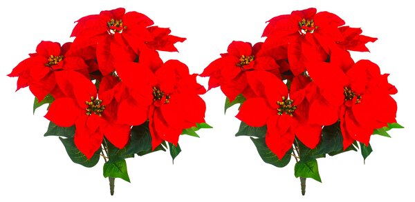 Set 2 Cespugli Stella Natale con 7 Fiori H50 cm Rosso
