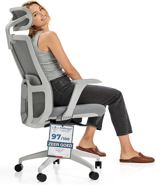 Sedia da ufficio ergonomica con poggiatesta, braccioli e supporto lombare, grigia, con altezza regolabile