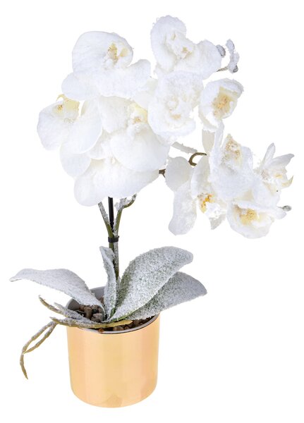 Set 2 Centrotavola con Orchiedea Ø9 cm Bianco