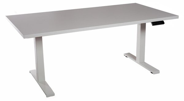 Scrivania da ufficio regolabile in altezza, colore bianco, piano in melaminico grigio chiaro, dimensioni 160x80 cm