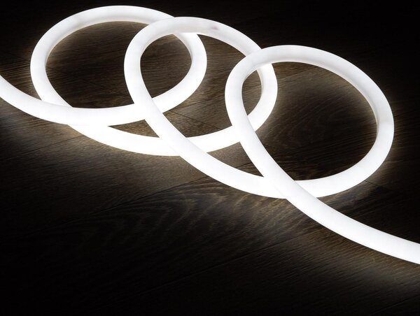 Striscia LED neon dimmerabile 220V bianco freddo rotonda 360° 9W/m taglio 100cm IP67 su misura 2 m