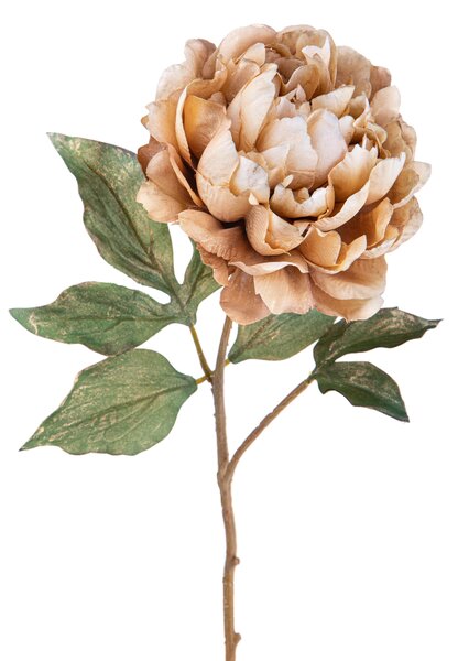 Set 6 Peonia Br/Gold H57 cm Beige