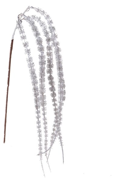 Set 6 Amaranthus Pedente con Glitter H80 cm