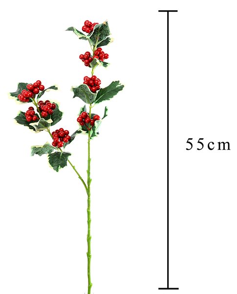 Set 12 Agrifoglio H55 cm