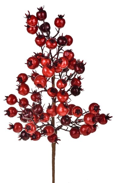 Set 12 Rametto con Rose Selvatiche H36 cm Rosso