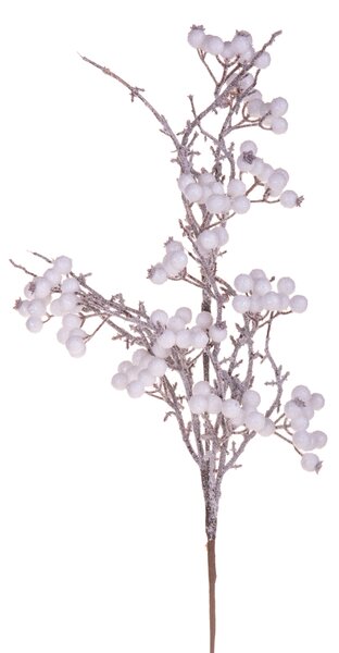 Set 6 Ramo di Rosa Selvatica H73 cm Bianco
