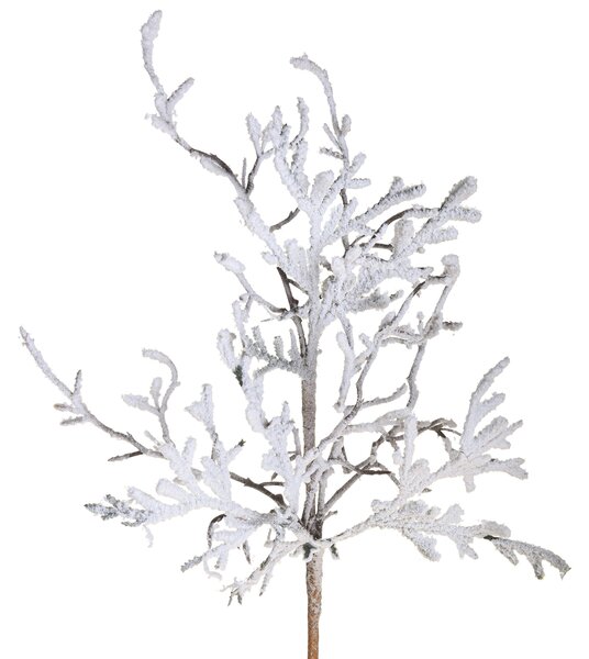 Set 6 Ramo Nudo con Neve H50 cm