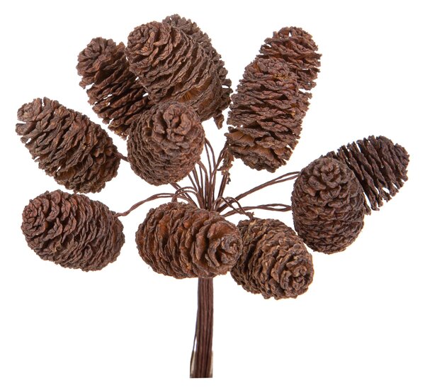 Set 24 Pick Mini Pigne Cedar 12 Pezzi H12 cm Natural