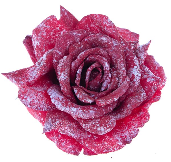 Set 24 Rosa con Clip.Ø15 cm Rosso