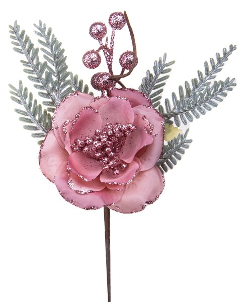 Set 24 Pick Rosa Cabbage 26 cm