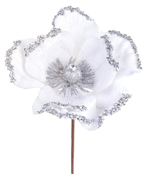 Set 12 Pick Catleia H15 cm Bianco