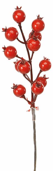 Set 24 Pick Piricantha H22 cm Rosso