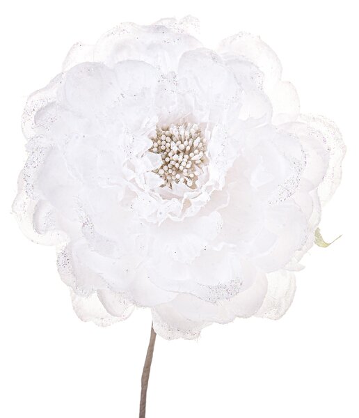 Set 12 Pick Peonia Ø11 cm Bianco