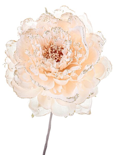 Set 12 Pick Peonia Ø11 cm Beige