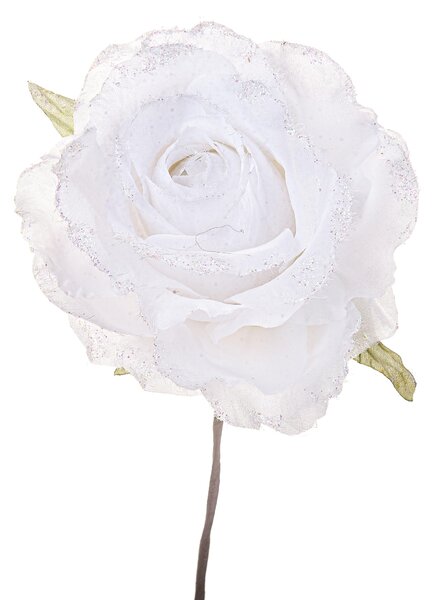 Set 12 Pick Rosa Ø10 cm Bianco