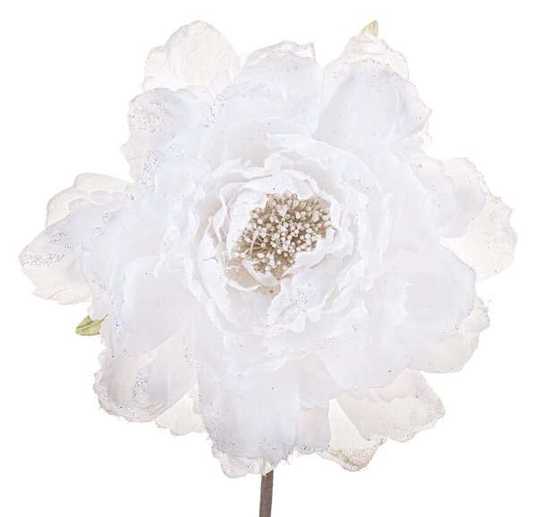 Set 12 Pick Peonia Ø14 cm Bianco