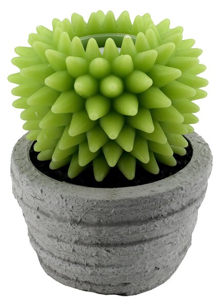 Candela led cactus con vaso fontana cm Ø23xh28