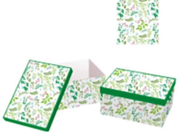 Set 10 Scatole cartone foglie verde bianco rettangolare