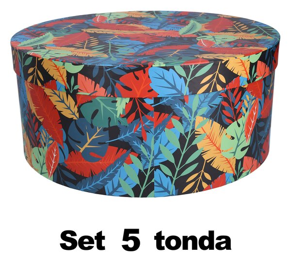Set 5 Scatole cartone piume multicolor tondo