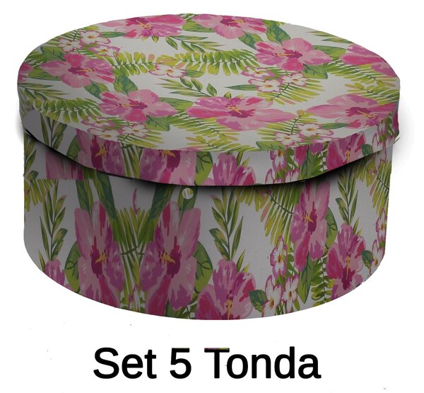 Set 5 Scatole cartone ibisco tondo