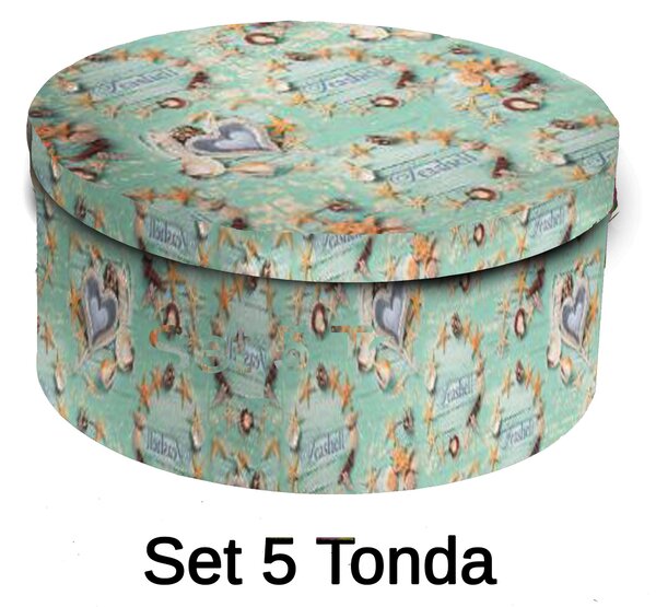 Set 5 Scatole cartone conchiglie tondo