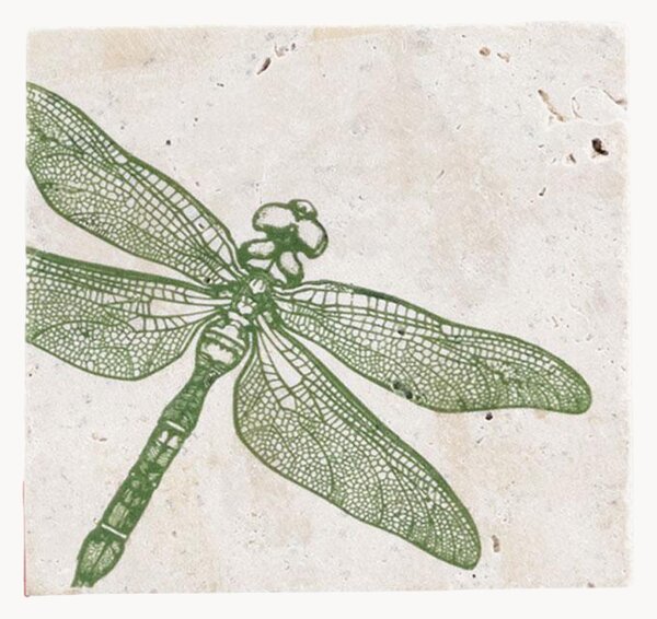 Set di 4 sottobicchieri Dragonfly