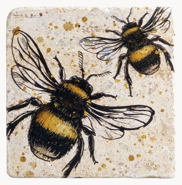 Set di 4 sottobicchieri Bee