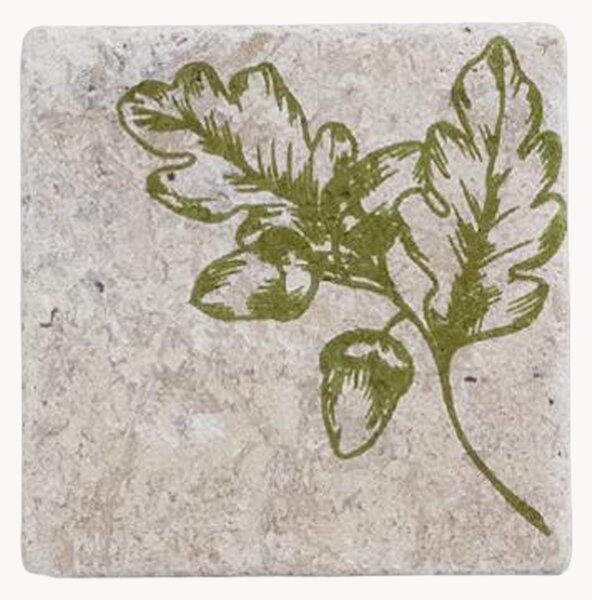 Set di 4 sottobicchieri Acorn