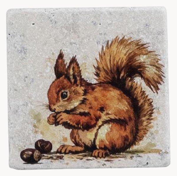 Set di 4 sottobicchieri Squirrel