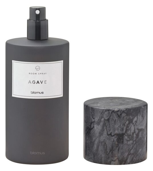Profumo per ambienti 100 ml Frabli: Agave – Blomus