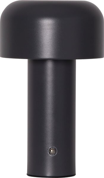 Lampada da tavolo LED grigia (altezza totale 21,5 cm) Bobby – Star Trading
