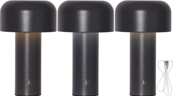 Lampada da tavolo LED grigia (altezza totale 21,5 cm) Bobby – Star Trading