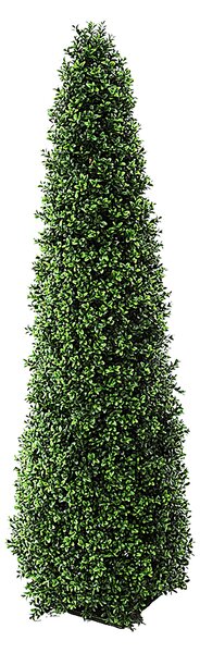 Foglie di Bosso Cono H 145 cm