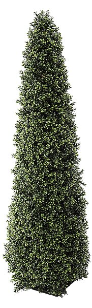 Foglie di Bosso Cono H 145 cm