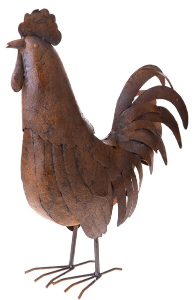 Gallo Metallo 55,8 cm