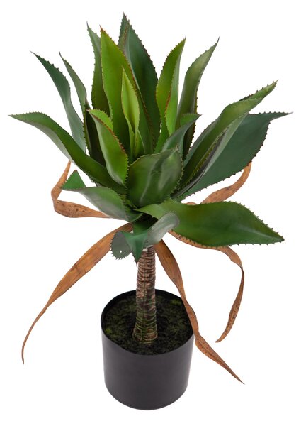 Pianta Artificiale Agave H71 cm con Vaso