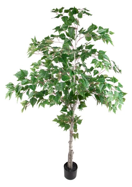 Pianta Artificiale Betulla con Vaso H 183 cm