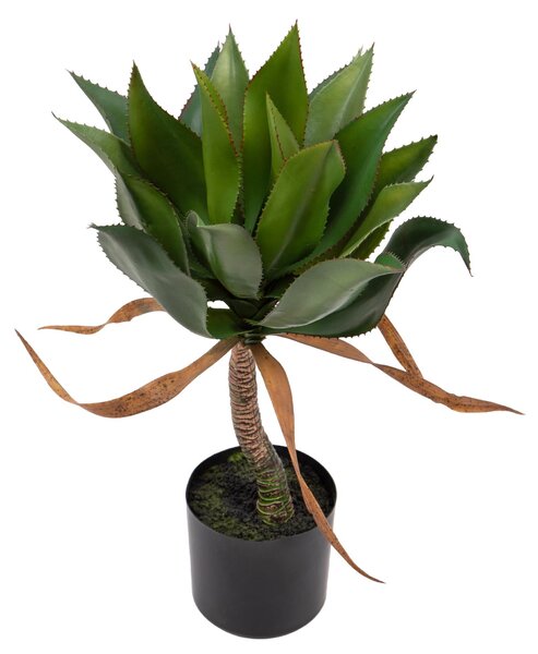 Pianta Artificiale Agave H71 cm con Vaso