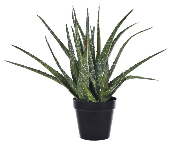 Pianta Artificiale Hawortia Aloe con Vaso H 355 cm