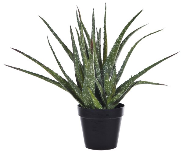 Pianta Artificiale Hawortia Aloe con Vaso H 355 cm