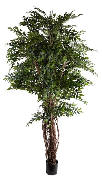Pianta Artificiale Ficus 225 cm con Liane 5278 F con Vaso