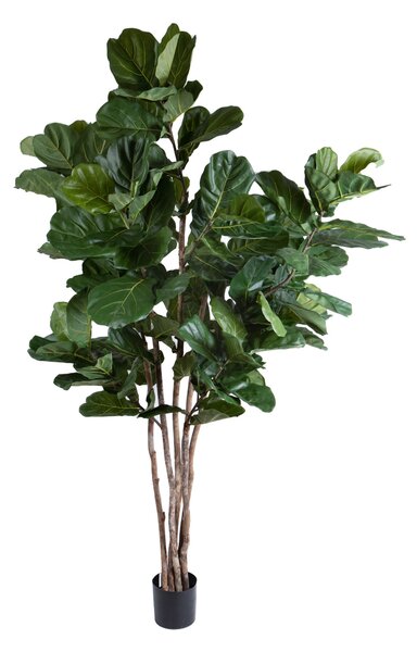 Pianta Artificiale Ficus Lyrata 220 cm 129 F con Vaso