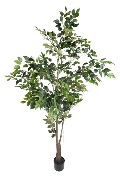Pianta Artificiale Ficus con Vaso H 213 cm