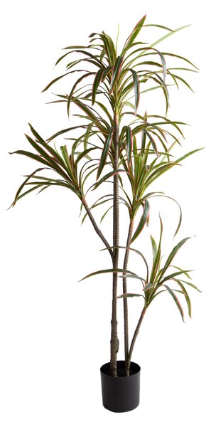 Pianta Artificiale Dracena Marginata con Vaso 190 cm