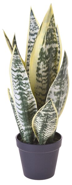 Pianta Artificiale San Severia con Vaso H 47 cm