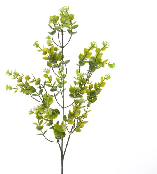 Set 12 Mini Rami Artificiali di Eucalyptus con Fiori H 65 cm
